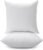 LANE LINEN 18 x 18 Throw Pillow Insert – Pack of 2 White, Down Alternative Pillow Inserts for Decorative Pillow Covers, Throw Pillows for Bed, Couch Pillows for Living Room