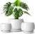 vancasso 3-Pack Ceramic Plant Pots, 7.3/9.6/11.6 Inch Indoor Planters with Saucers & Drainage Hole Planter pots for Indoor Plants and Flower, White