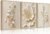 BHSUUHIT 3 Pcs Neutral Beige Botanical Wall art White Florals Wall Decor Cream Neutral Botanical Prints Beige Bloom Flower Textured Paintings Vintage Blossom Pictures 12x16in Unframed Poster