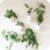 Make Good PlantPod Luxe – Self-Watering Wall Planters (Set of 6) – Easy to Water and Install – Lightweight – Design Your Own Vertical Garden – Wall Planters for Indoor Plants