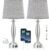 Bedrooms Touch Control Bedside Lamp with USB C+A, 3 Way Dimmable Nightstand Lamps with USB Port, Brushed Nickel Table Lamp for Living Room Guest Room Bed Side End Table, Set of 2