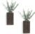 Dahey 2 Pack Wood Wall Planter Vase with Artificial Eucalyptus Farmhouse Wall Hanging Decor Pocket Planter for Indoor Fake Plants Greenery, Living Room Bedroom Kitchen Home Office Decoration