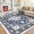 OPPODREAM Area Rugs 5×7, 5×7 Washable Rug with Non Slip Backing, 5 x 7 Faux Cashmere Low-Pile Carpet, Navy Blue & Gold