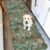 Washable 2×6 Runner Rug for Entryway: Hallway Kitchen Easy-Clean Carpet with Non-Slip Backing Stain-Resistant Low Pile Floor Mat – Perfect for High-Traffic Areas with Pets (2×6 Floral/Green)
